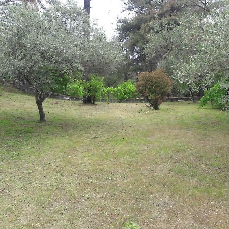 Villa Leo Glykadi Zewnętrze zdjęcie